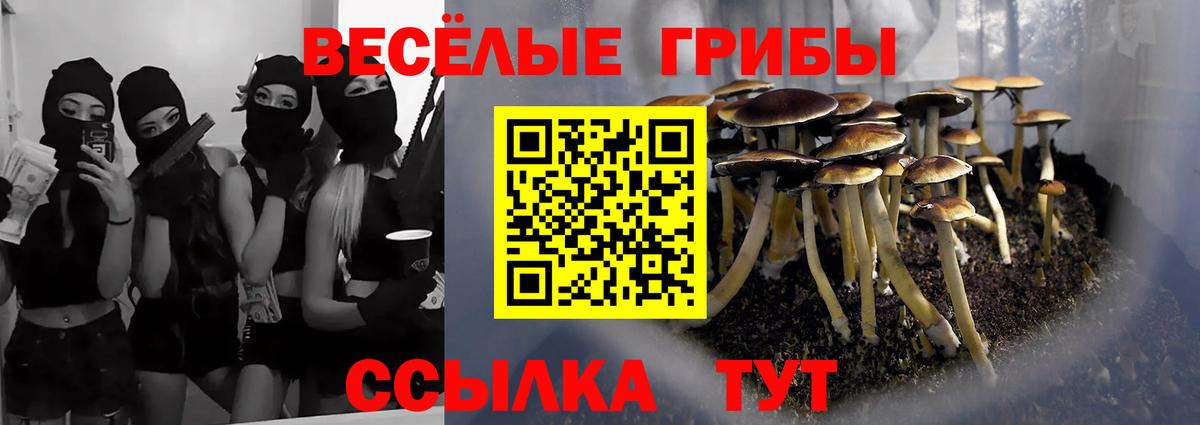 Псилоцибиновые грибы Psilocybine cubensis  Вход с VPN  Саров  Галлюциногенные грибы Cubensis 
